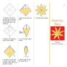 Origami Flowers Kit by Tuttle 2