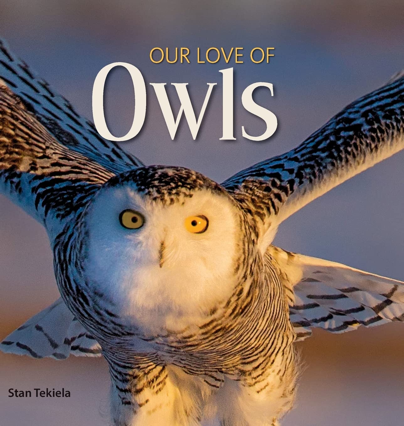 Our Love of Owls-by-Adventure Keen