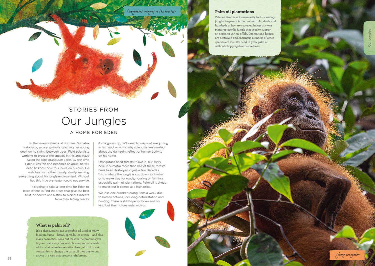 Our Planet by Harper Collins 5