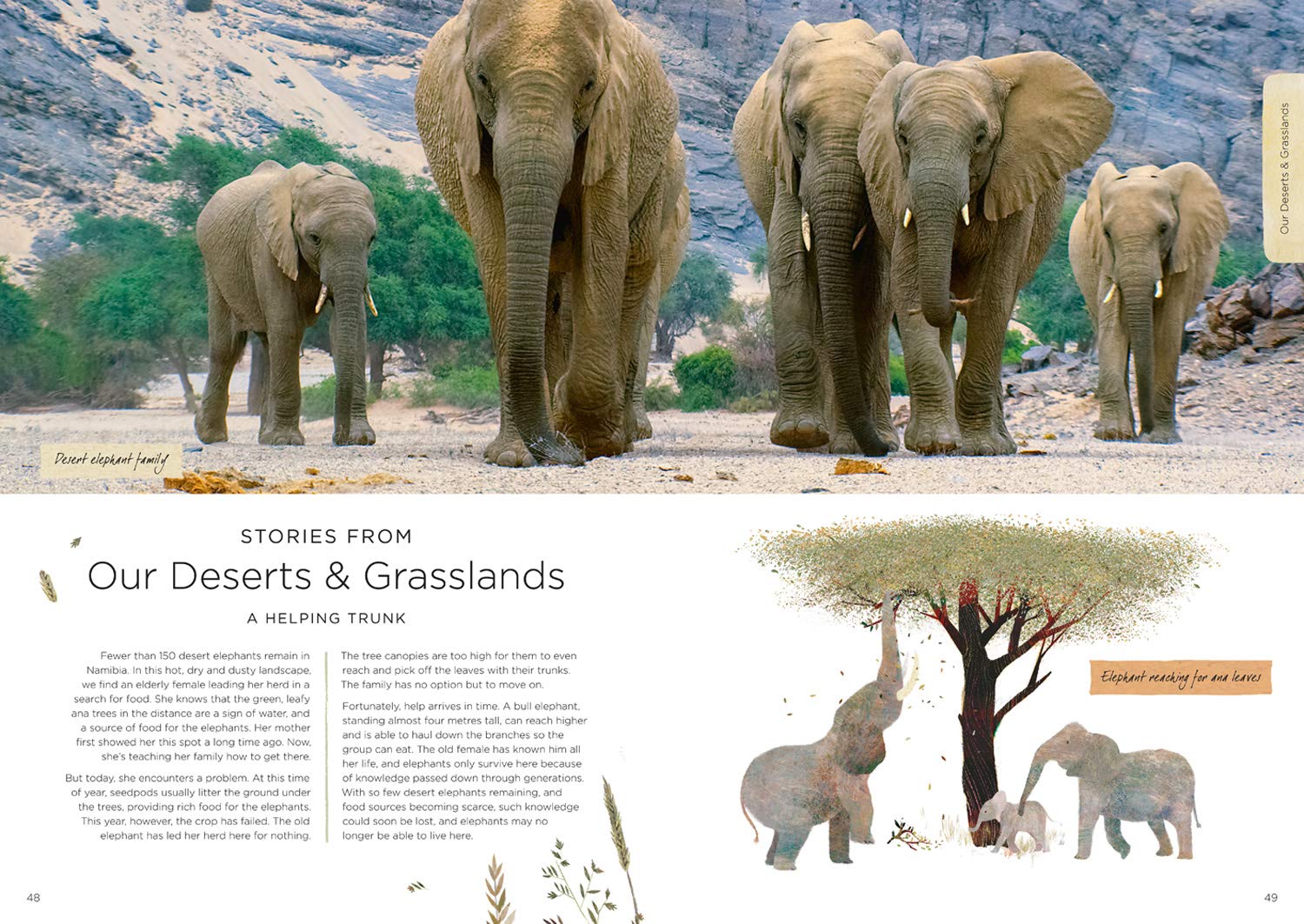 Our Planet by Harper Collins 7