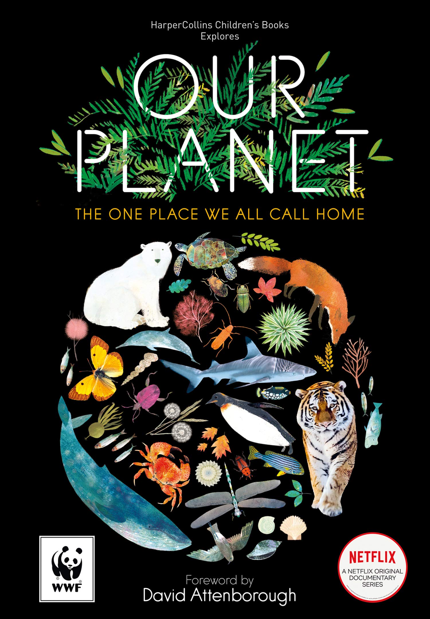 Our Planet by Harper Collins