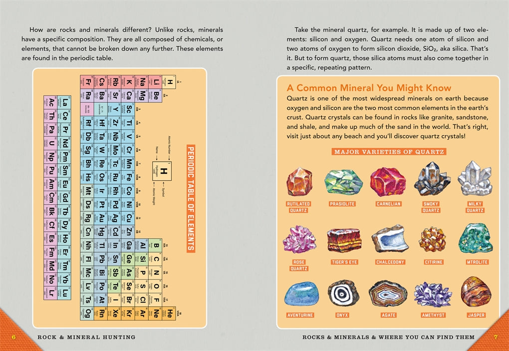 Outdoor School Rock Fossil and Shell Hunting by Odd Dot 2