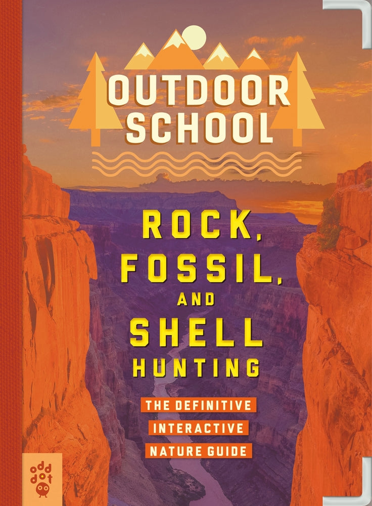 Outdoor School Rock Fossil and Shell Hunting by Odd Dot