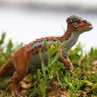 Pachycephalosaurus Figure by Safari 6