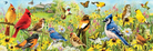 Panoramic Backyard Birds 1000pc Puzzle by Eurographics 1