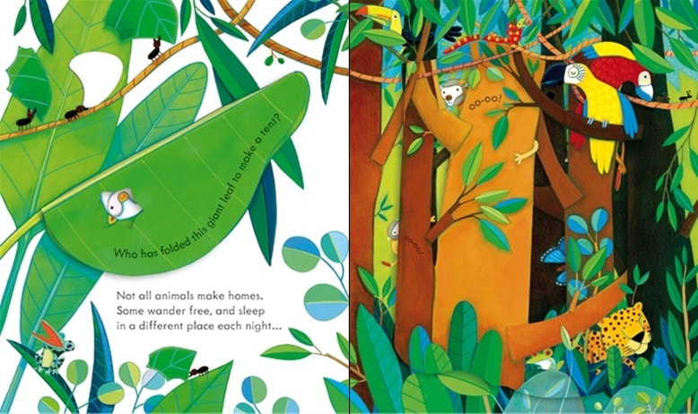 Peek Inside Animal Homes by Usbourne 1