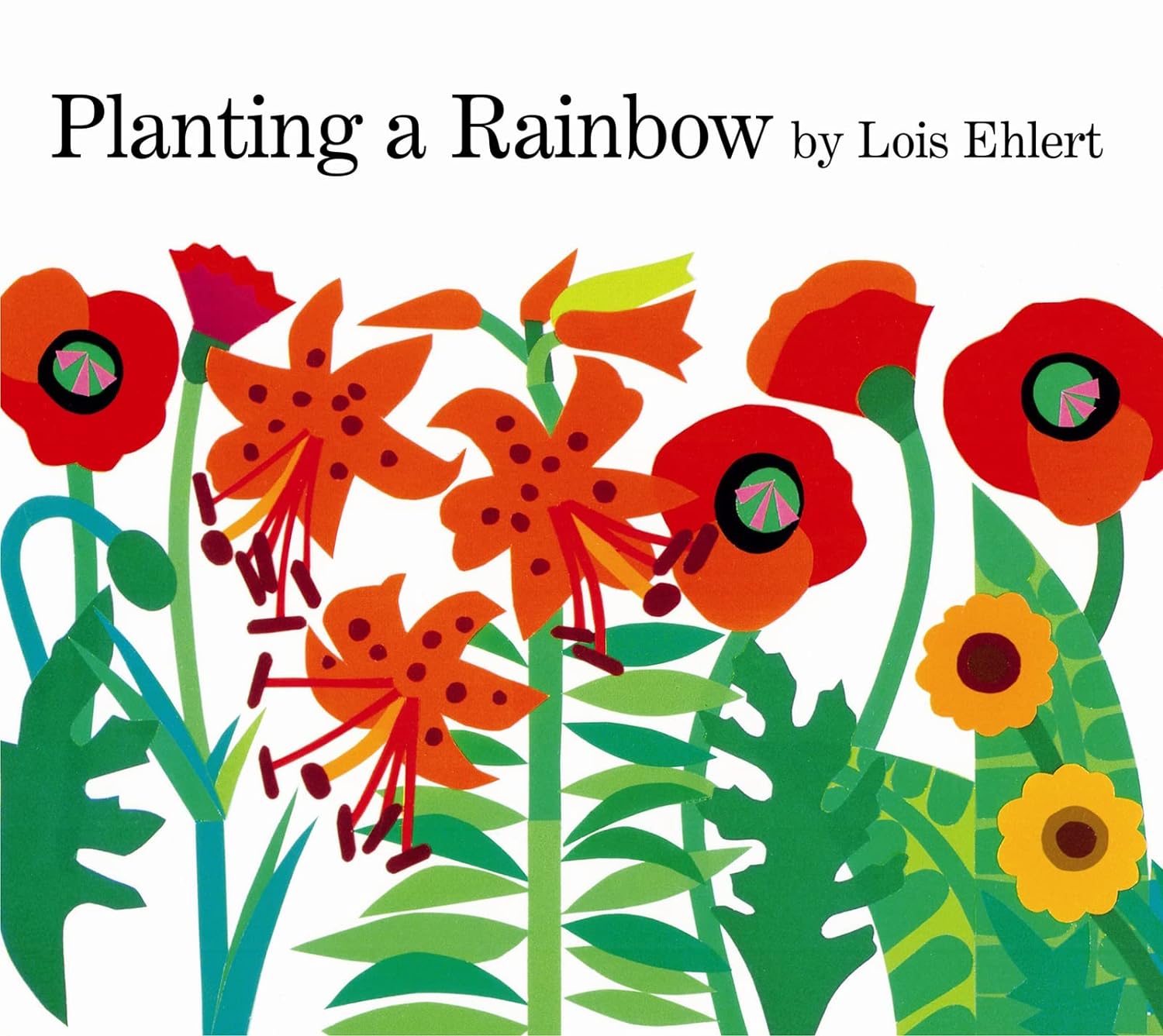 Planting A Rainbow Board Book-by-Harper Collins
