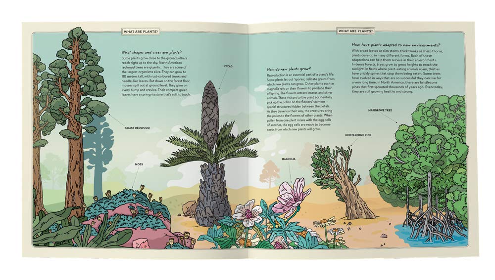 Plants Explorer by Ingram 1