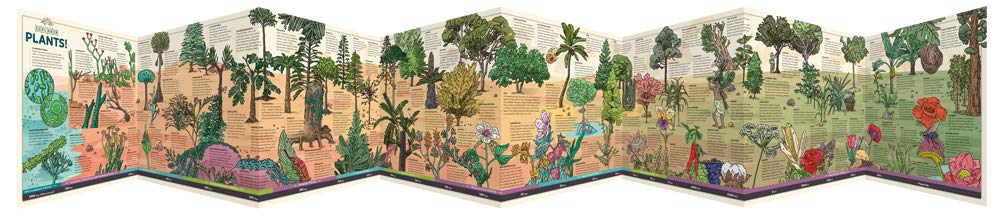 Plants Explorer by Ingram 3