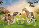 Playmobil Icelandic Ponies with Foals by Playmobil 1