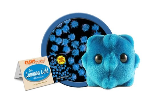 Plush Common Cold by Giant Microbes
