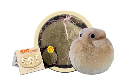 Plush Fat Cell by Giant Microbes