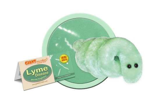 Plush Lymn Disease by Giant Microbes
