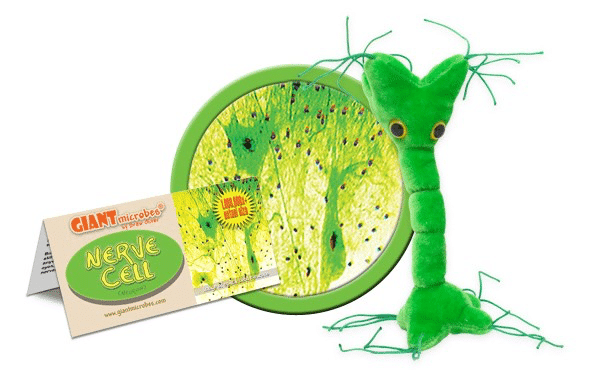 Plush Nerve Cell by Giant Microbes