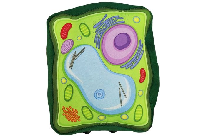 Plush Plant Cell by Giant Microbes 1