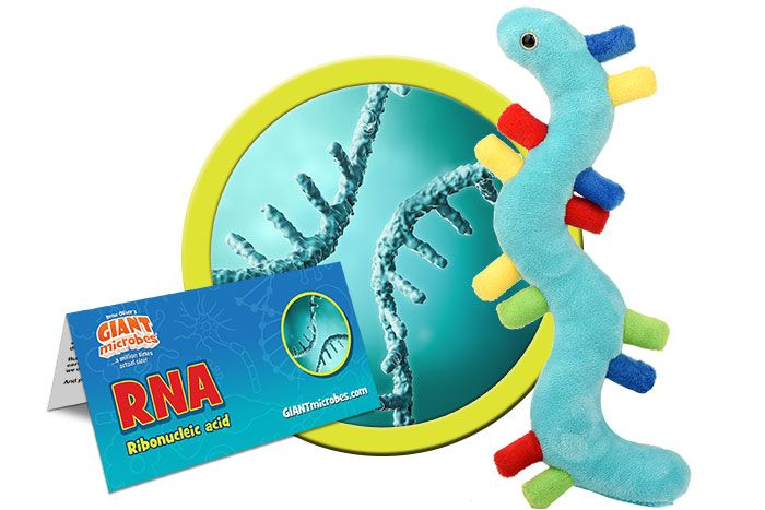 Plush RNA by Giant Microbes