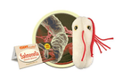 Plush Salmonella by Giant Microbes