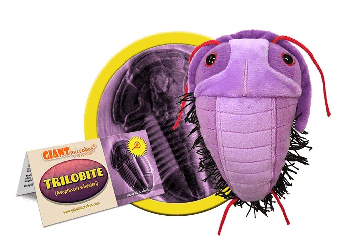 Plush Trilobite by Giant Microbes