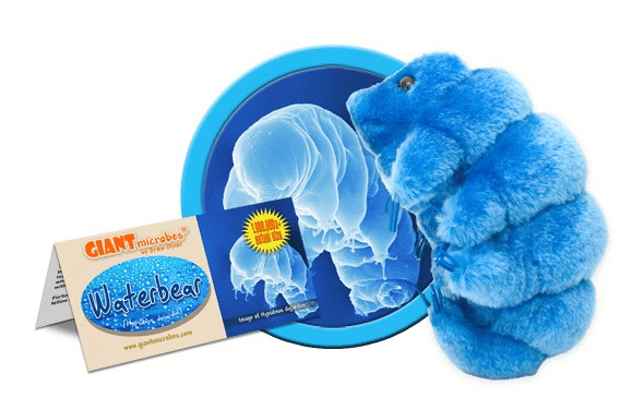Plush Waterbear by Giant Microbes