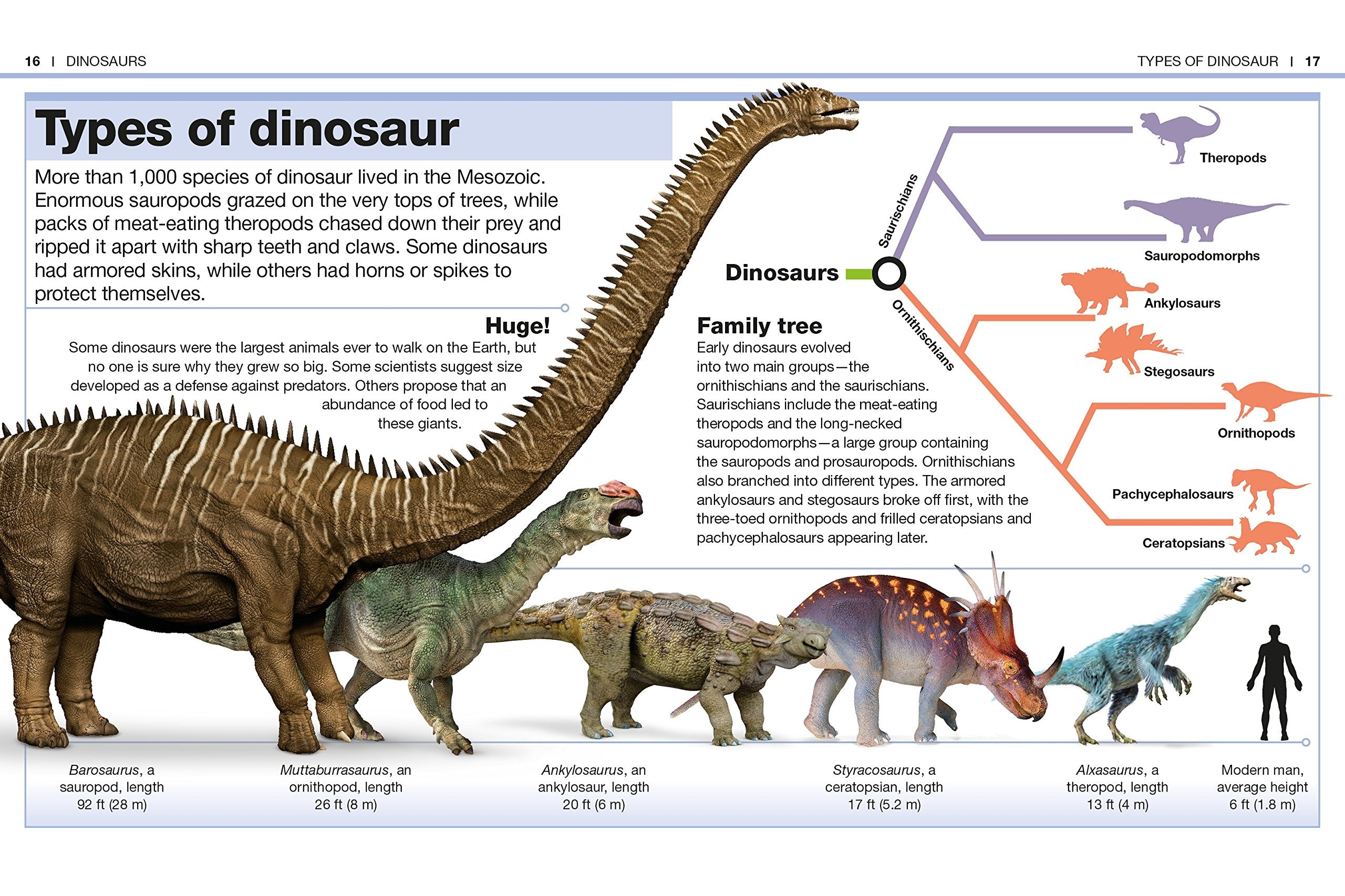 Pocket Genius: Dinosaurs – A2Z Science & Toys