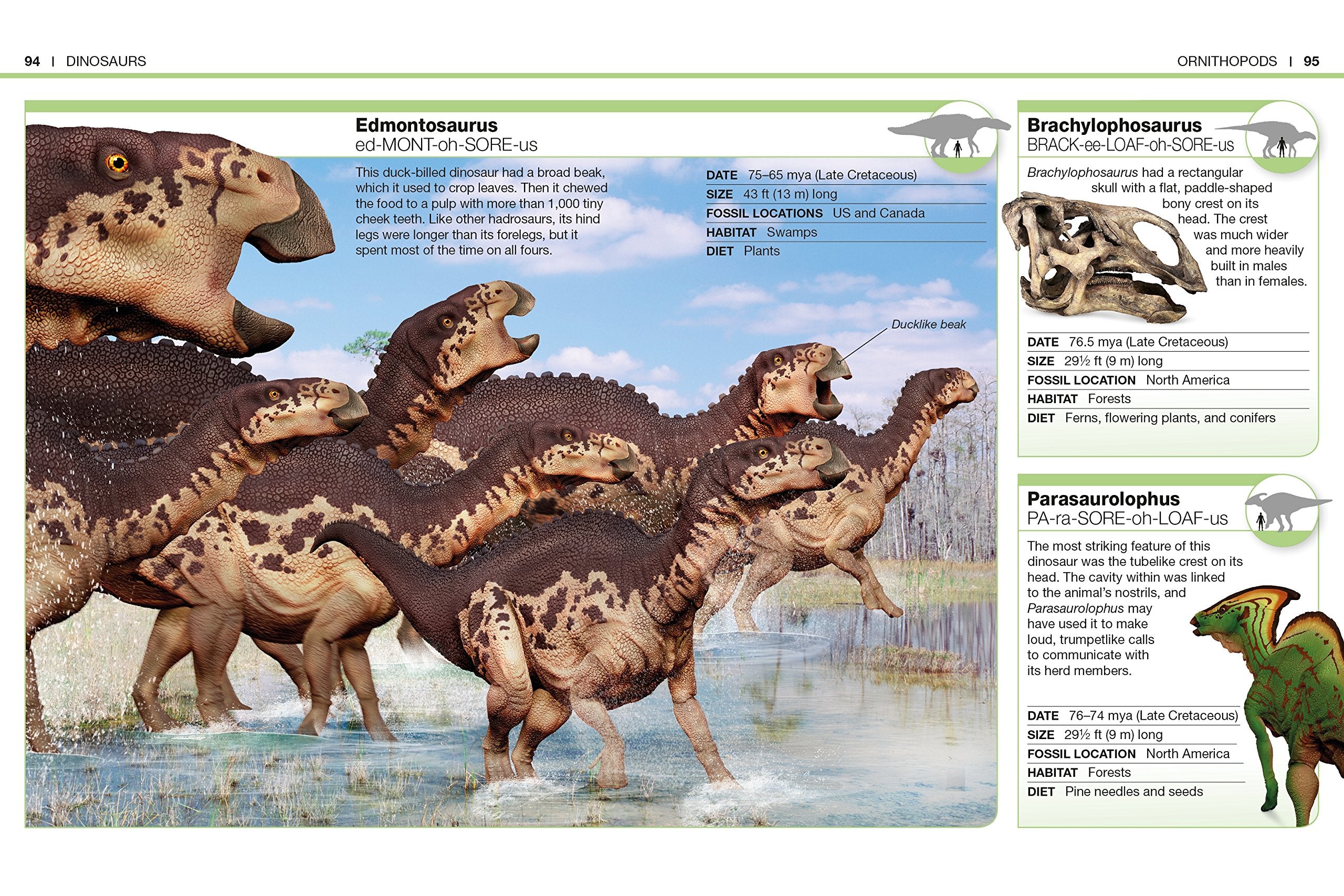 Pocket Genius Dinosaurs by Dorling Kindersley 4
