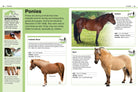 Pocket Genius Horses by Dorling Kindersley 2