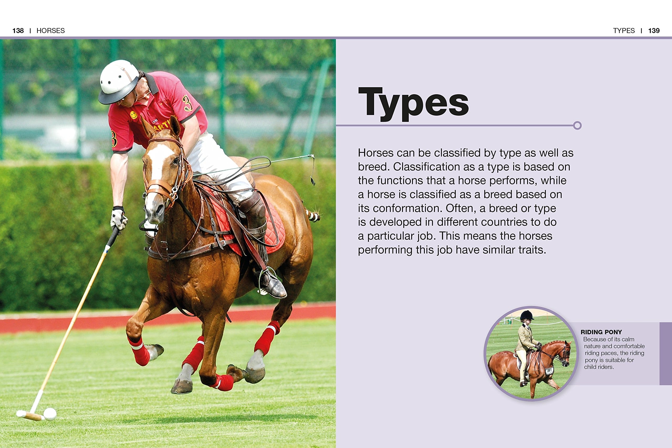 Pocket Genius Horses by Dorling Kindersley 4