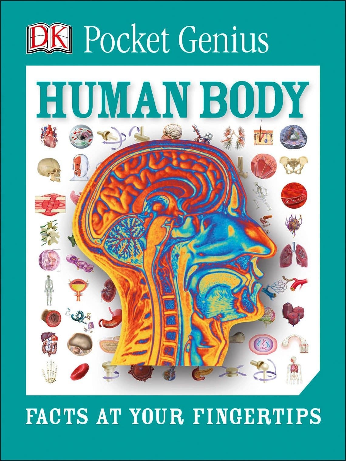Pocket Genius Human Body Facts at Your Fingertips by Dorling Kindersley