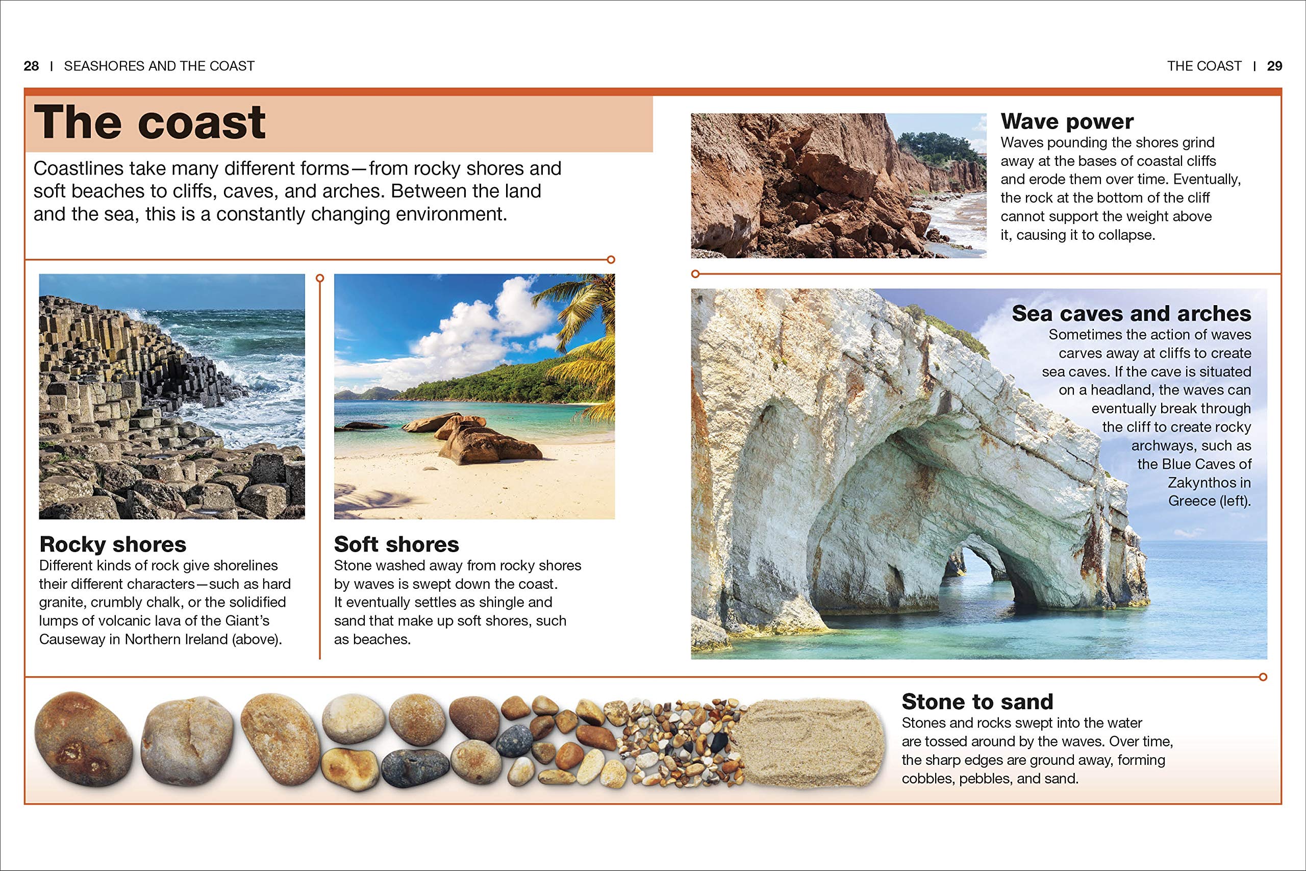 Pocket Genius Ocean by Dorling Kindersley 2