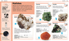 Pocket Genius Rocks and Minerals Facts at Your Fingertips by Dorling Kindersley 3