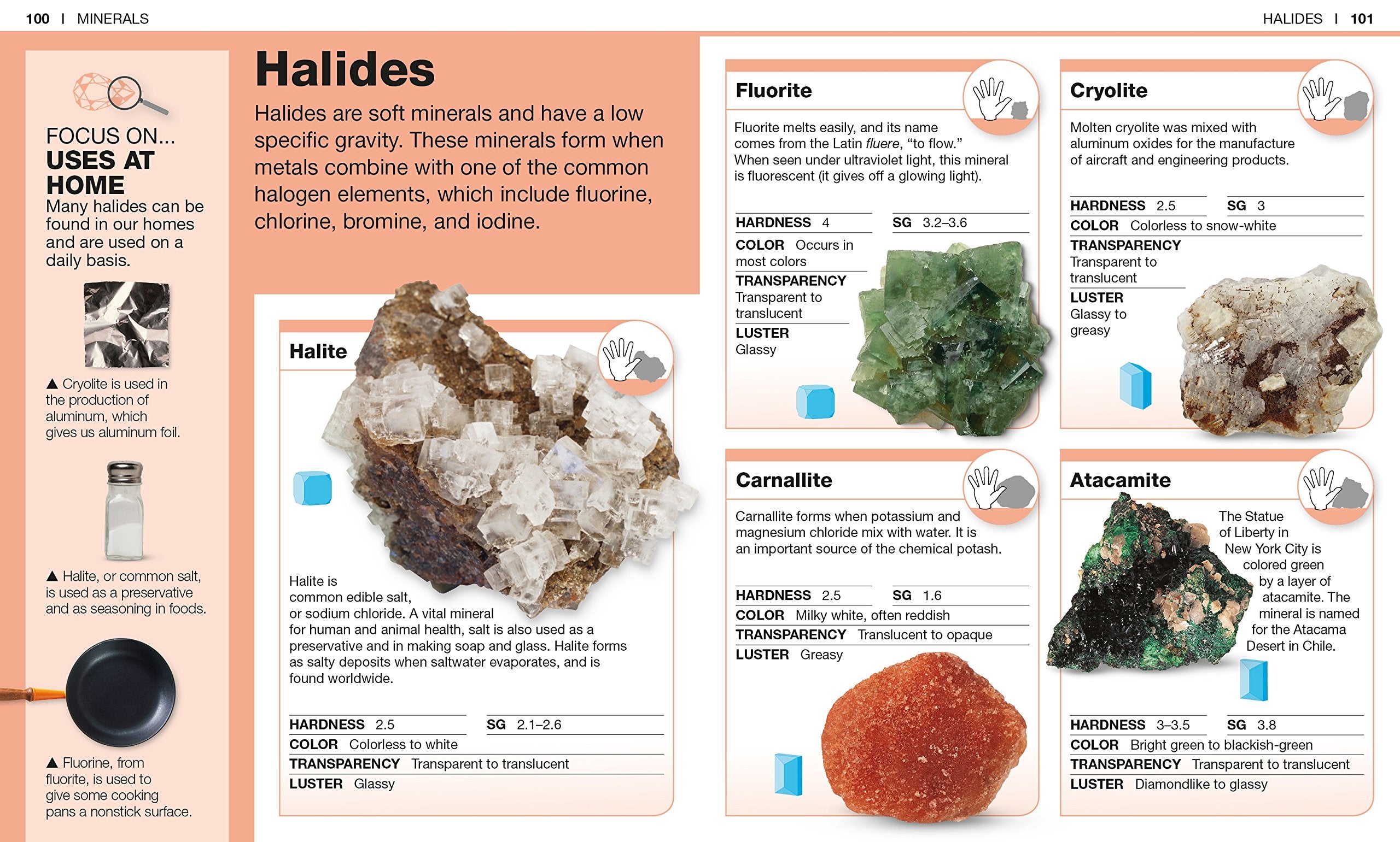 Pocket Genius Rocks and Minerals Facts at Your Fingertips by Dorling Kindersley 3