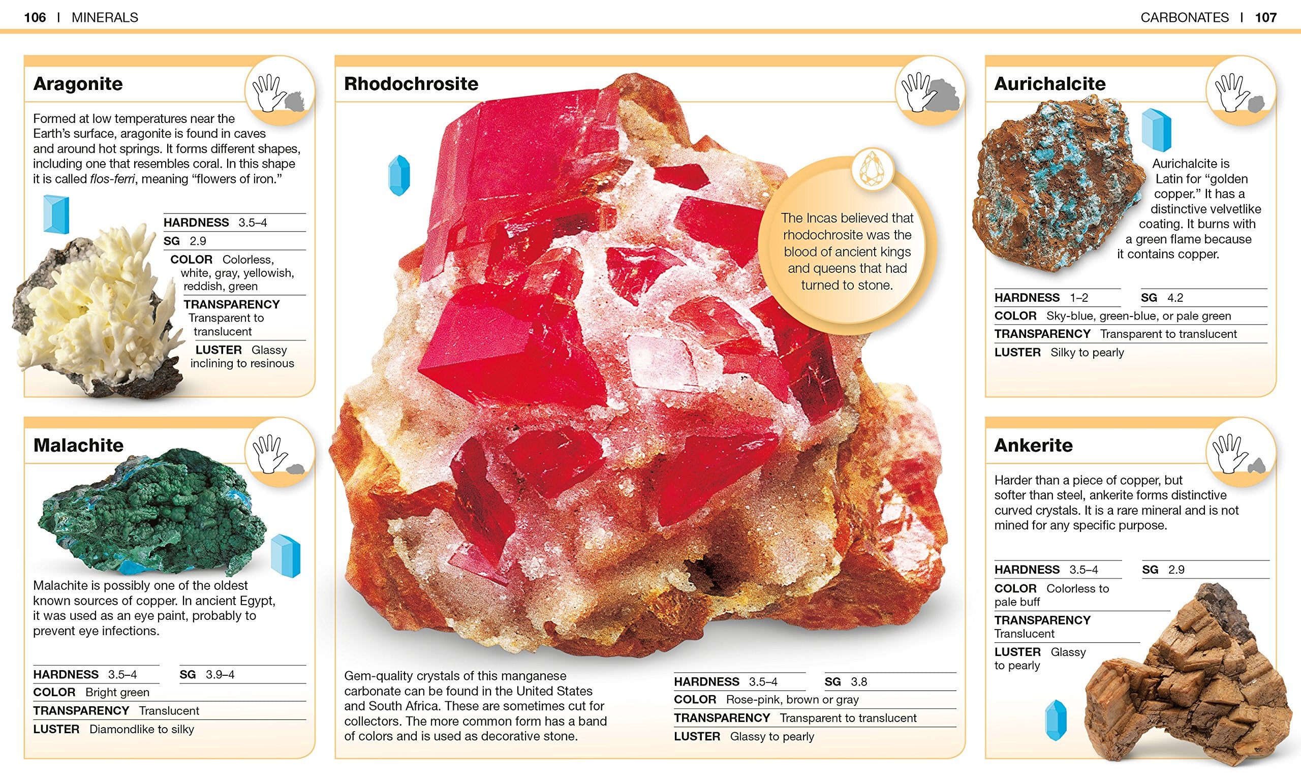 Pocket Genius Rocks and Minerals Facts at Your Fingertips by Dorling Kindersley 4