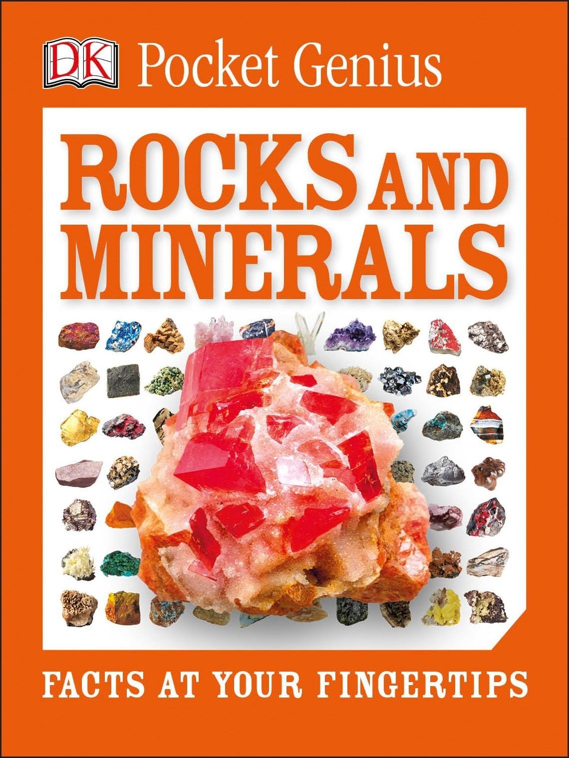Pocket Genius Rocks and Minerals Facts at Your Fingertips by Dorling Kindersley