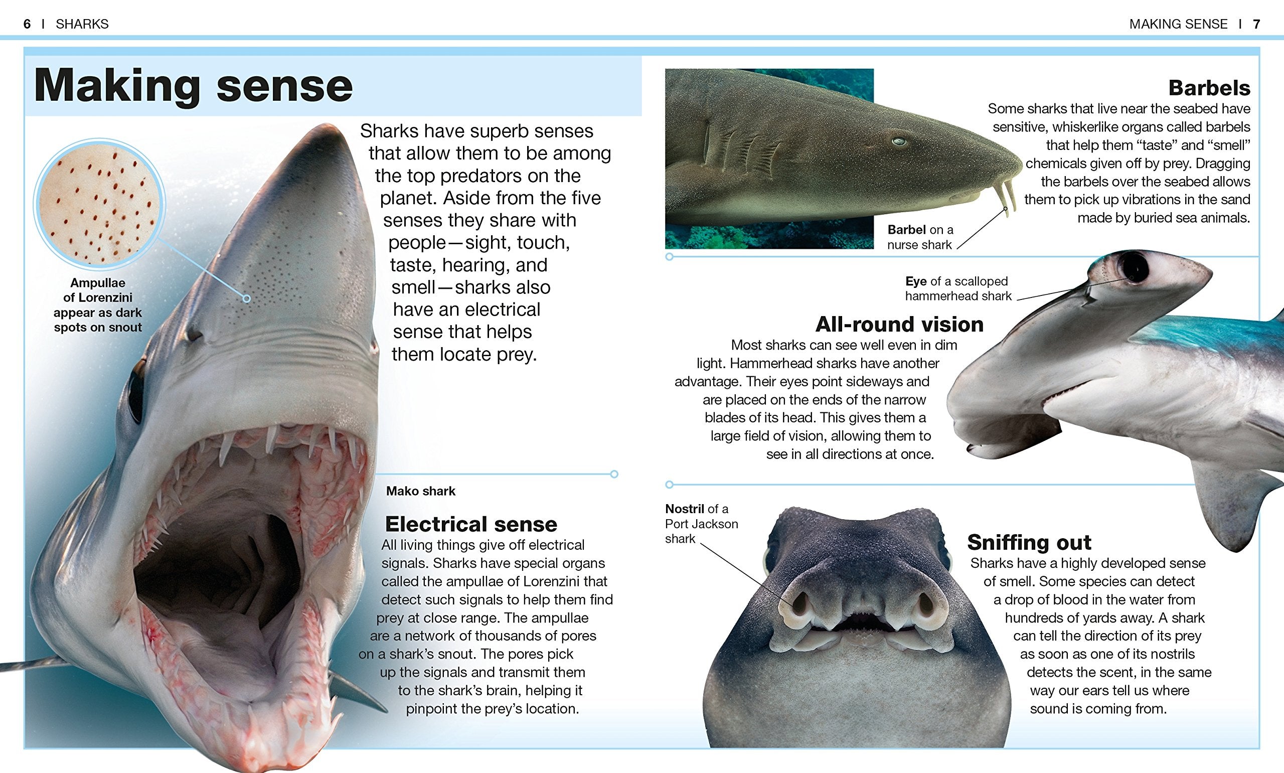 Pocket Genius Sharks Facts at Your Fingertips by Dorling Kindersley 1
