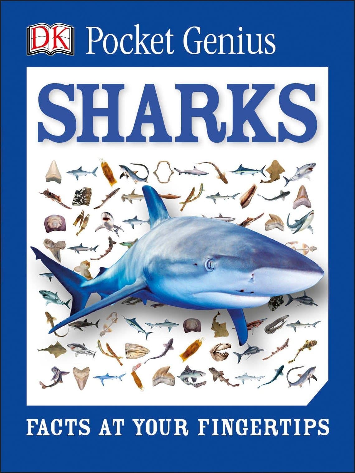 Pocket Genius Sharks Facts at Your Fingertips by Dorling Kindersley