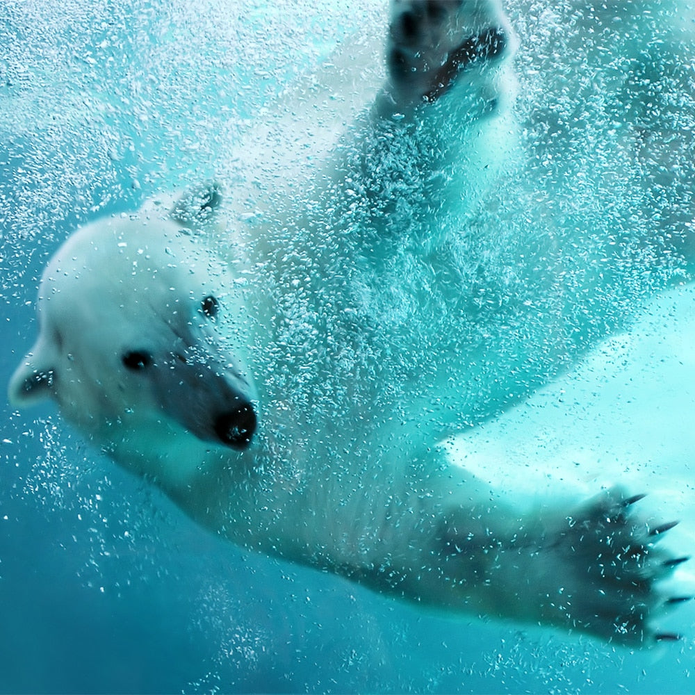 Polar Bear Wooden Puzzle 53pc by Zen Puzzles