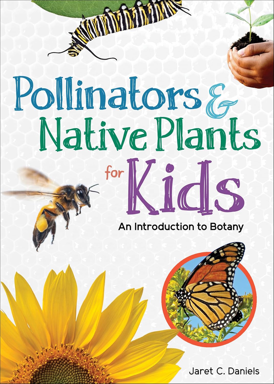 Pollinators & Native Plants for Kids: An Introduction to Botany-by-Adventure Keen