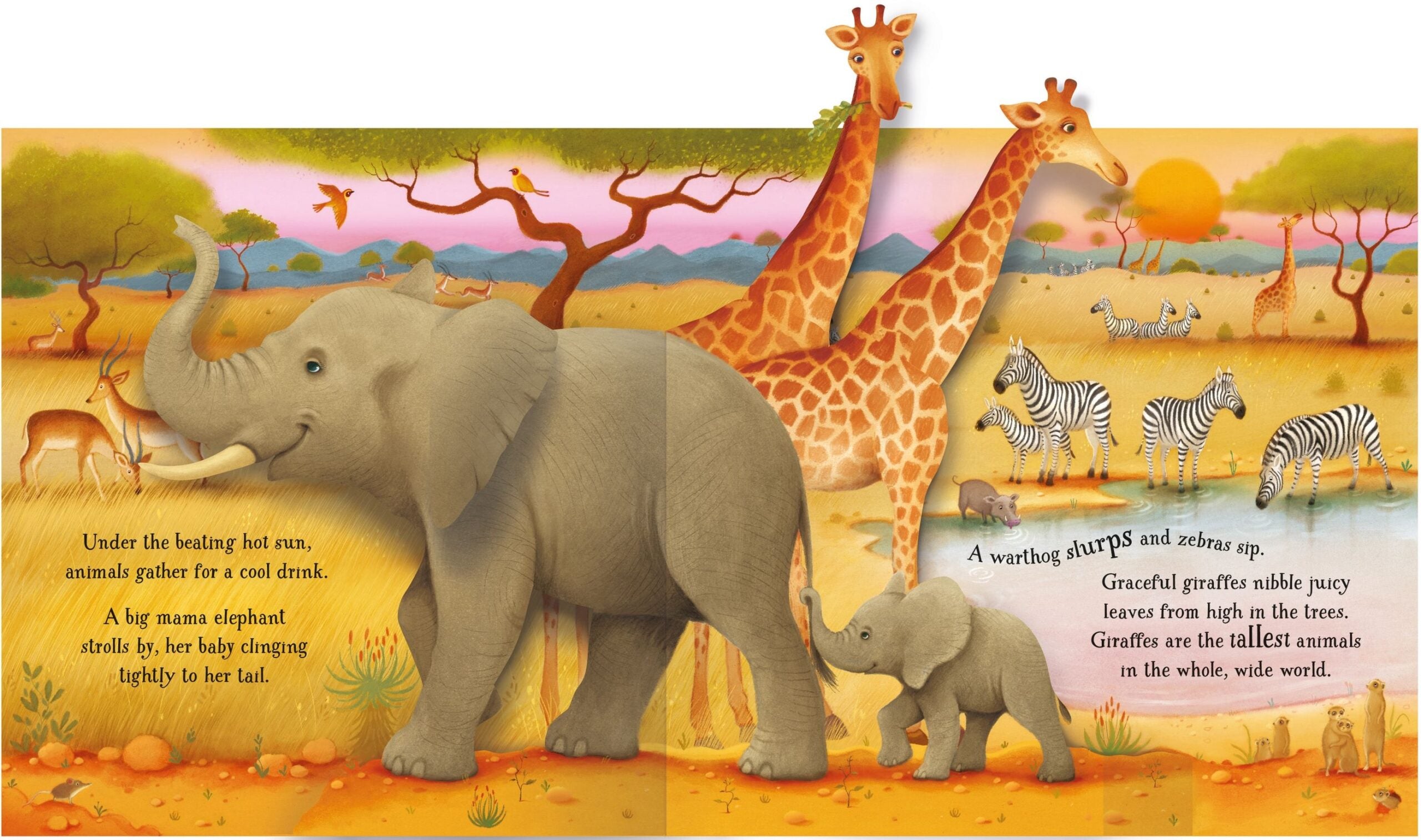 Pop Up Animals by Usborne 1 scaled