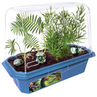 Prehistoric Dinosaur Land Gardening Kit by Dunecraft 1