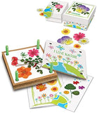 Pressed Flower Art by Toysmith 2