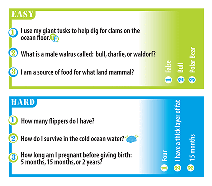 Professor Noggins Life in the Ocean Card Game by Outset Media 1