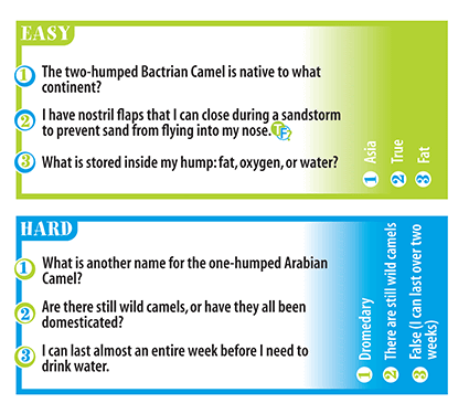 Professor Noggins Wildlife Safari Card Game by Outset Media 1