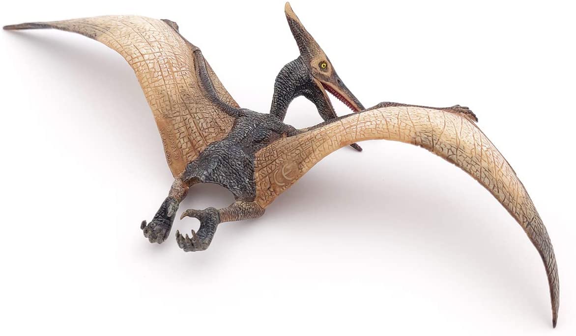 Pteranodon Figure by Papo 2