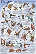 Pterosaurs Laminated Poster by Feenixx