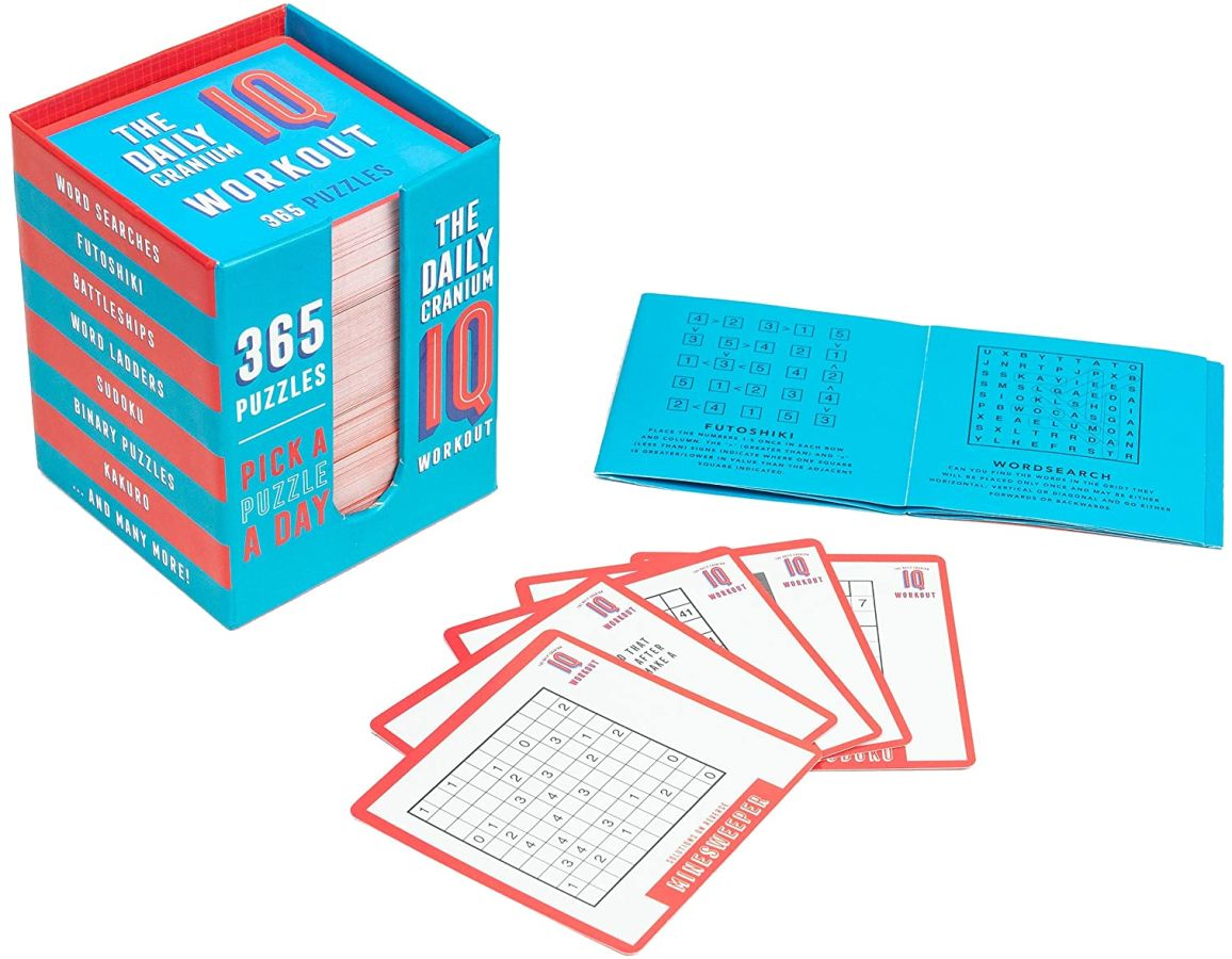 Puzzle a Day Brainteasers by Professor Puzzle 3