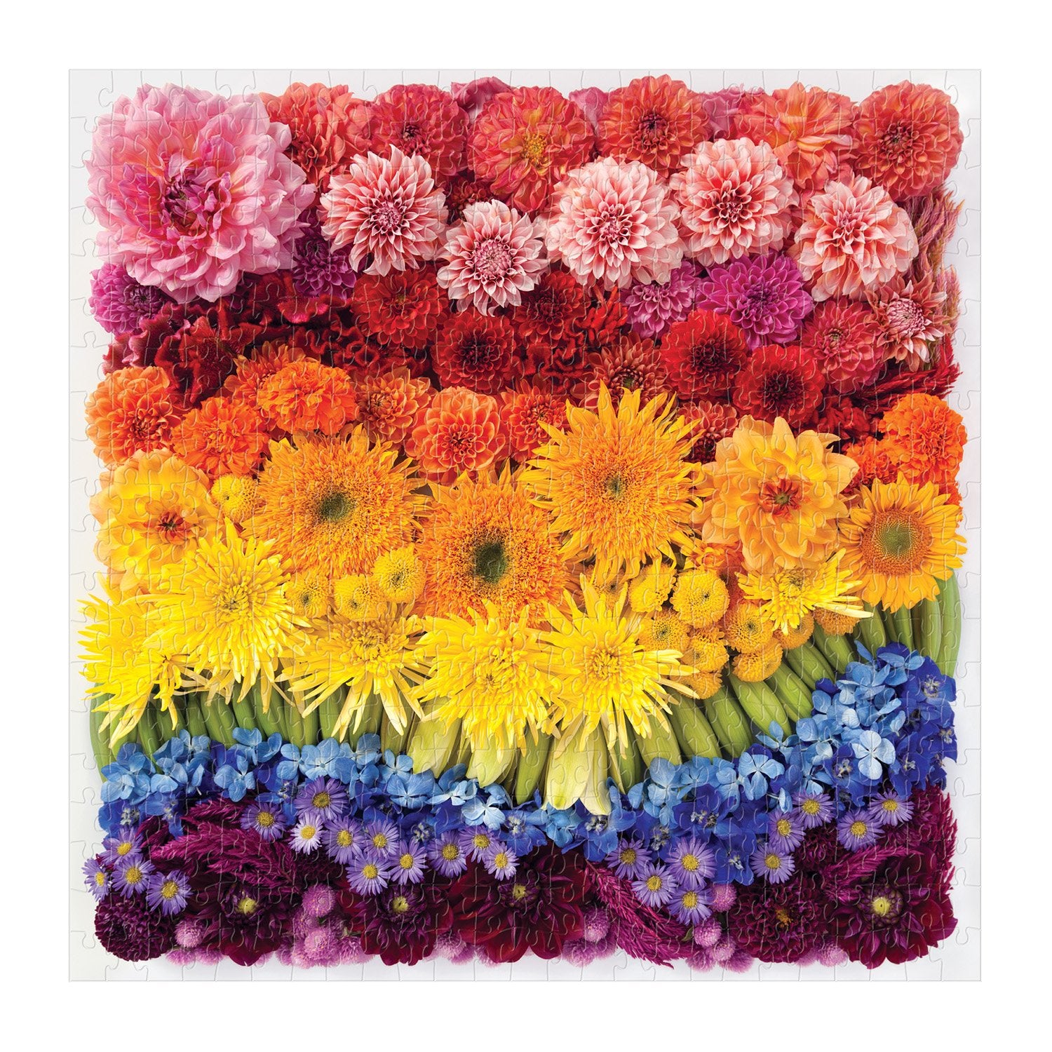 Rainbow Summer Flowers 500pc Puzzle by Galison 2