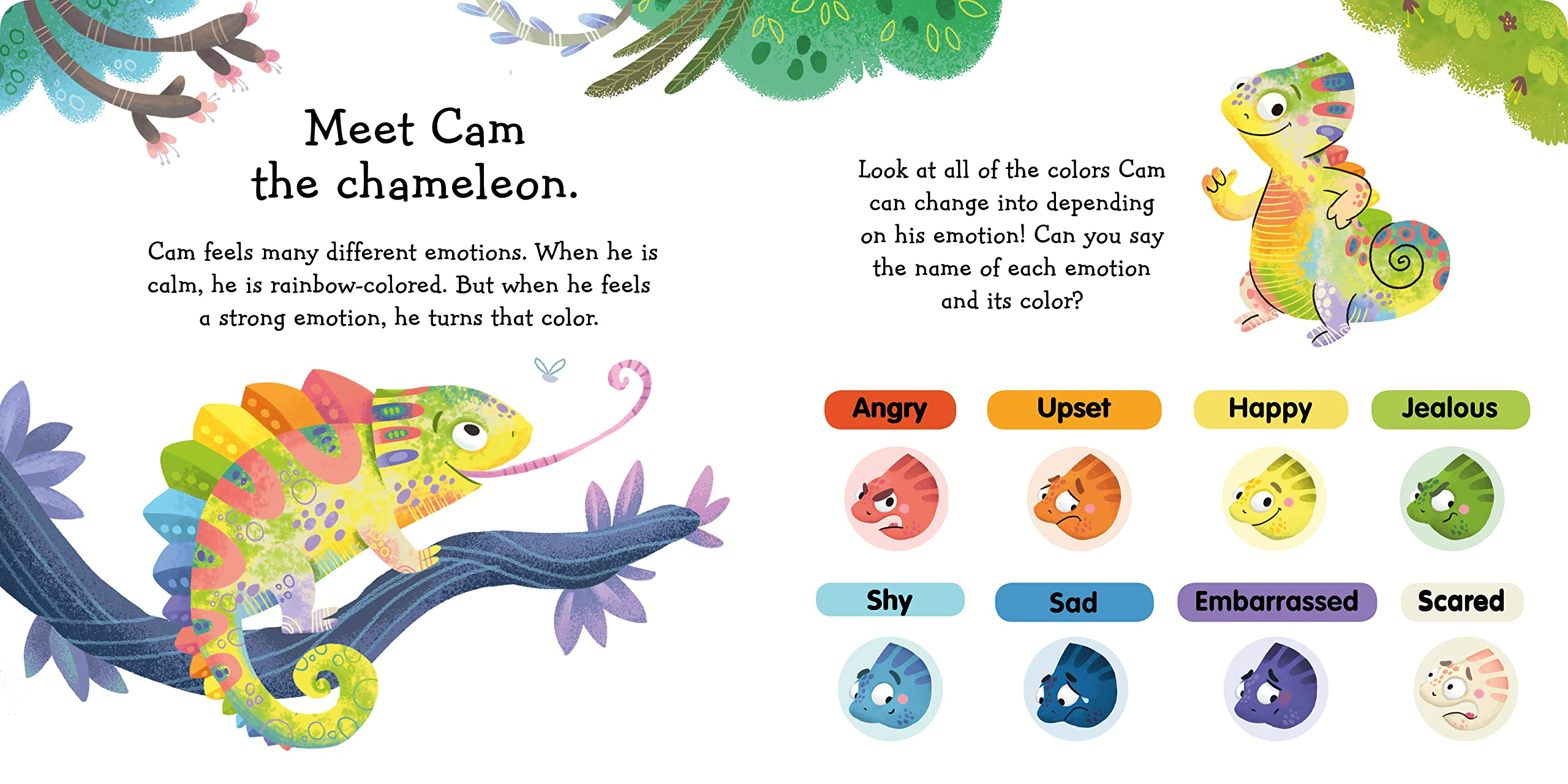 Rainbow of Emotions Making Friends with Your Emotions by Quarto Publishing 1