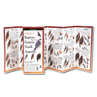 Raptors of Eastern North America by Earth Sky Water 1