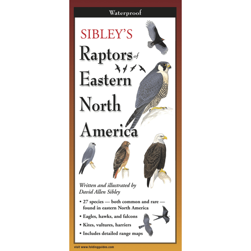 Raptors of Eastern North America by Earth Sky Water
