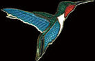 Ruby Throated Humming Bird Pin by WM Spear Designs